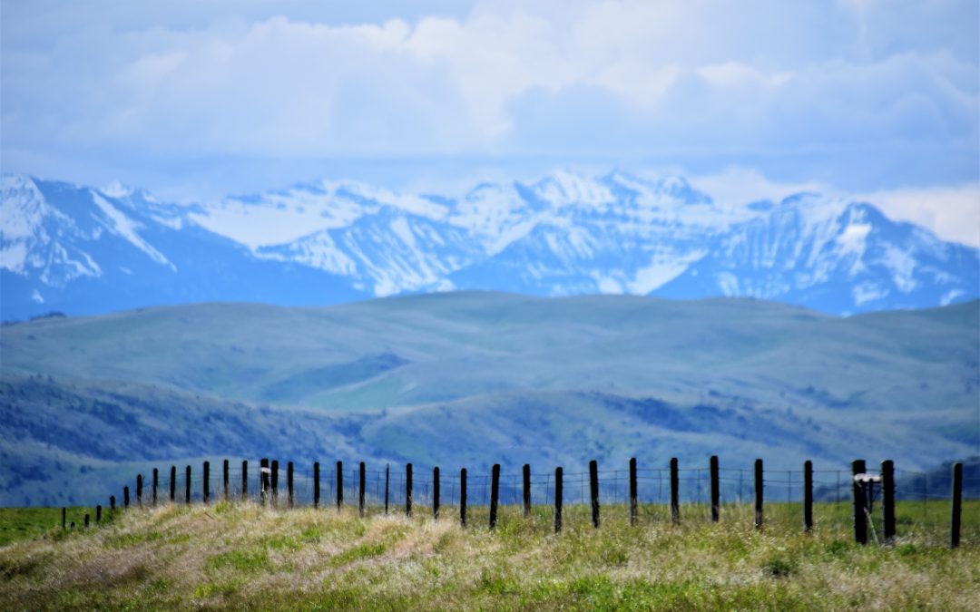 Big Changes Affecting the United States District Court for the District of Montana